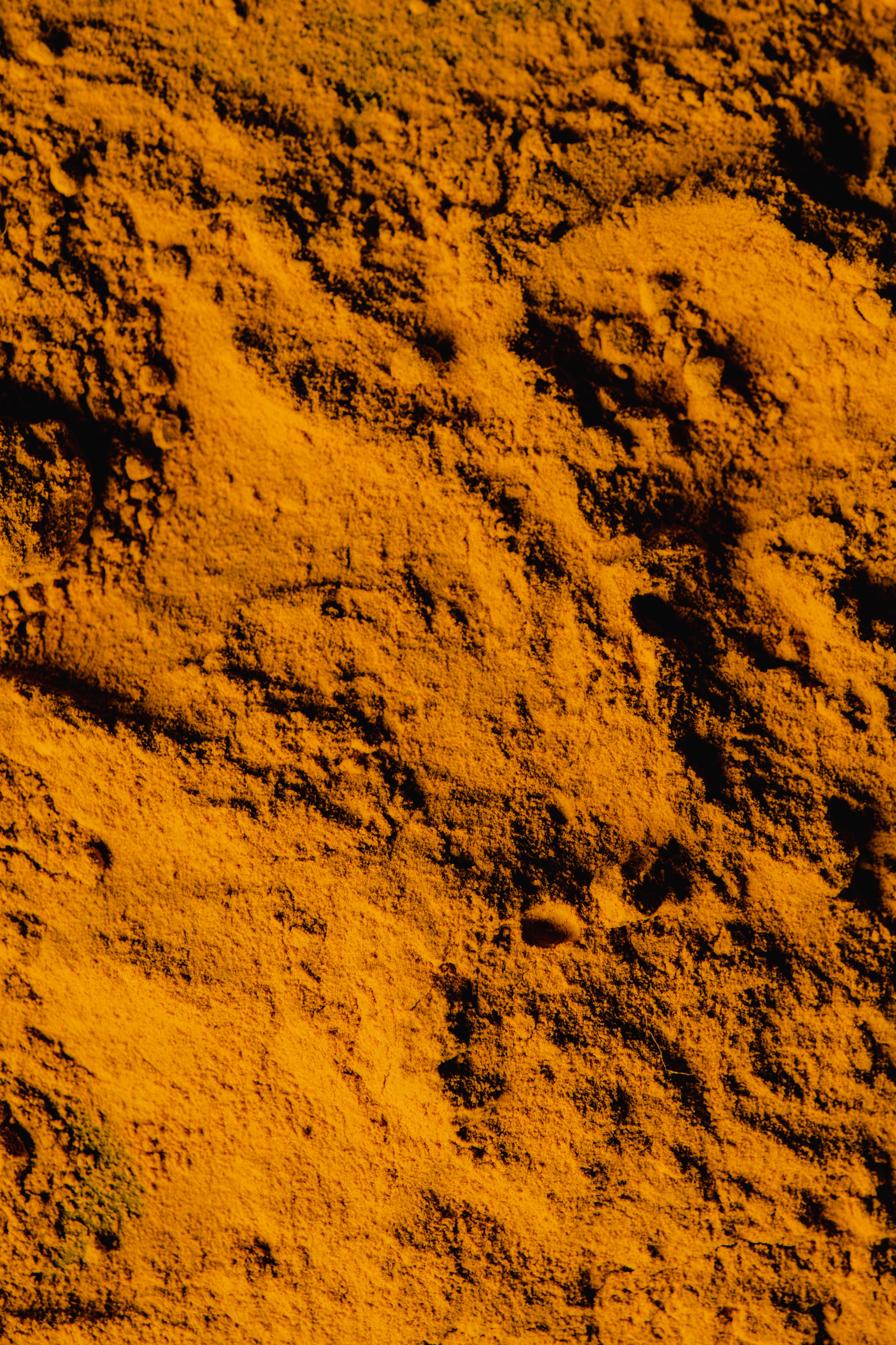 Cumin Powder
